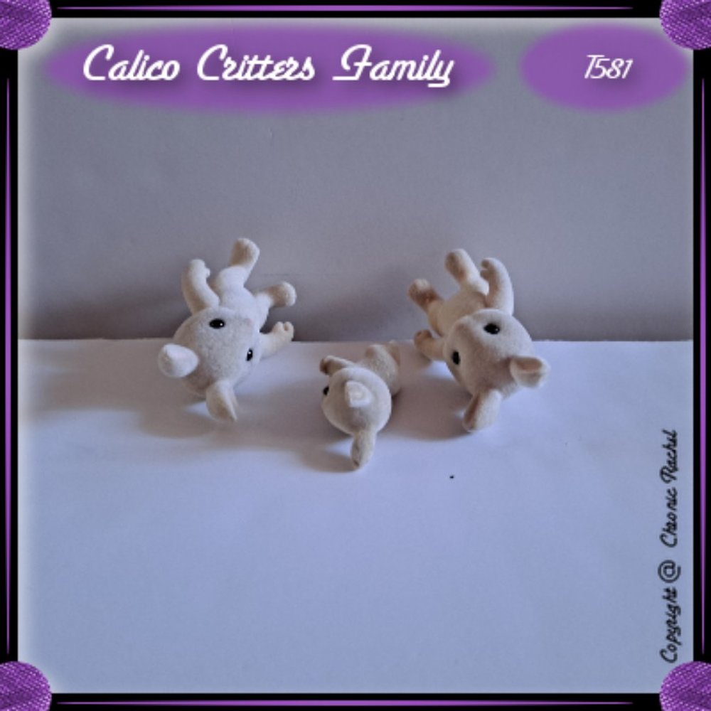 Milk Rabbits Family - Picture 4 of 5